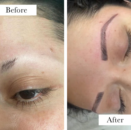 Ombre Brows (3 Hrs)